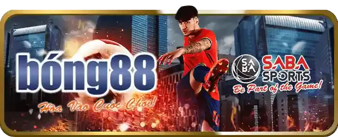 Cân bằng cuộc sống và giải trí